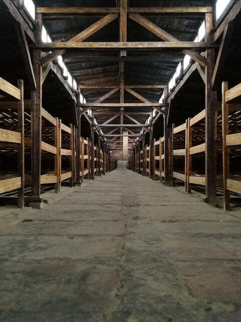 Schlafplätze vorgesehen für 120, belegt mit 800 (Auschwitz II- Birkenau; Marie Rohde-Terlinden)