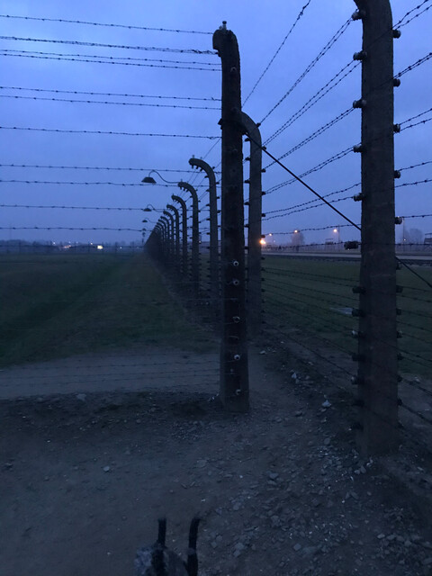 Durchgang (Auschwitz II – Birkenau; Stephanie Fricke)